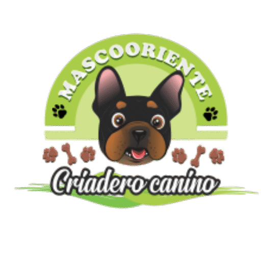 Mascooriente